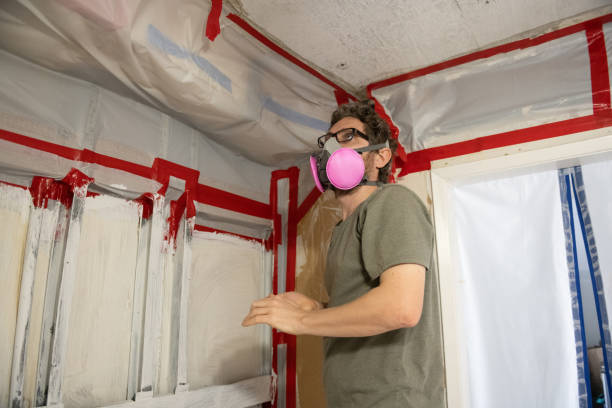 Best Emergency Mold Remediation  in Forestville, MD