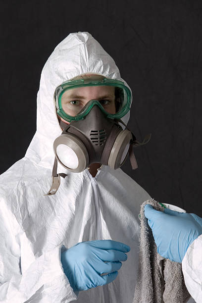 Best Asbestos and Lead Testing During Mold Inspection  in Forestville, MD